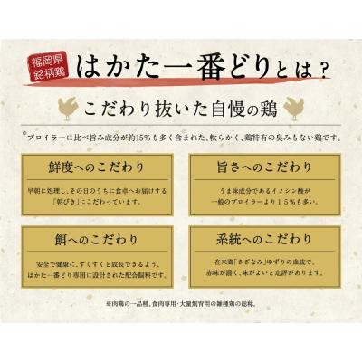 ふるさと納税 古賀市 はかた一番どり水炊きセット2〜3人前(ふるさと納税限定セット)