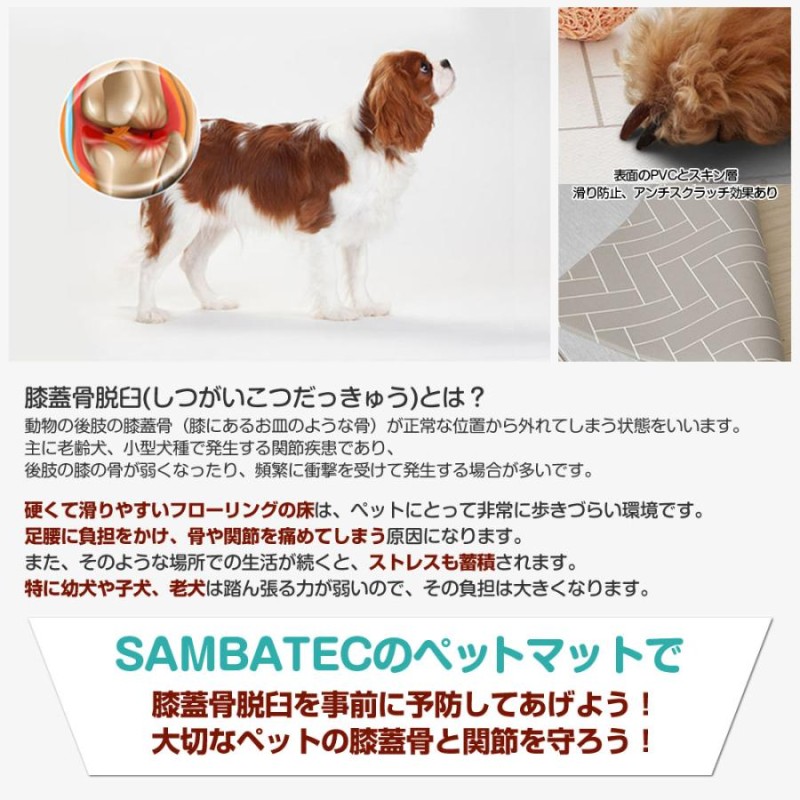 七宝焼き と スワロフスキー の ジュエル モダン キャット 猫 ネコ