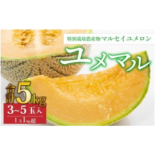 ふるさと納税 福井県 あわら市 マルセイユメロン 3〜5玉入「ユメマル」5kg 《とろけるような食感の絶品 赤肉メロン》／ 果物 フルーツ 産地直送 …