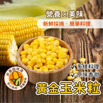 【阿凱の冰箱】台灣美味黃金甜玉米粒 340公克/罐 玉米 玉米粒
