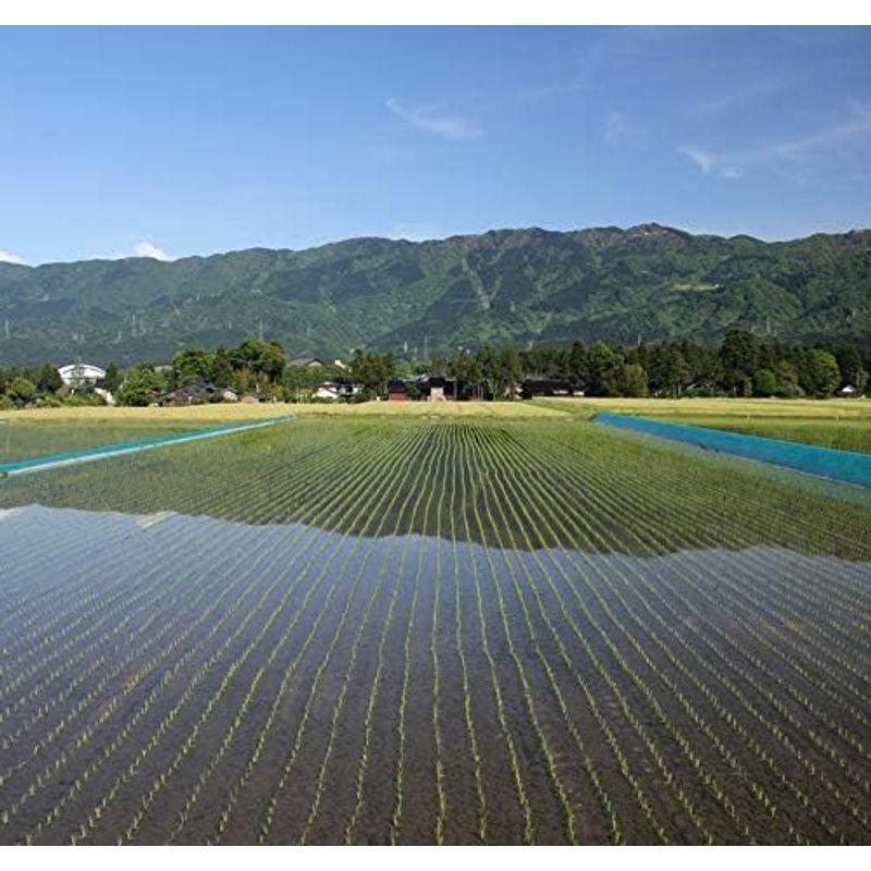 令和4年産 特別栽培米 富山県産 富富富 10kg (5kg×2) ふふふ (玄米のまま 5kg×2袋でお届け)