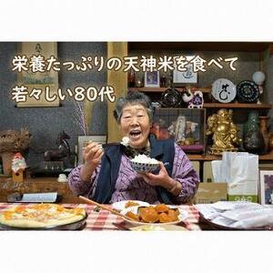 ふるさと納税 令和5年度新米　新潟魚沼産コシヒカリ 天神米 5kg×2袋 新潟県十日町市