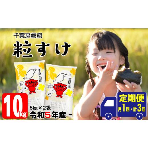 ふるさと納税 千葉県 富津市 令和5年 千葉房総産「粒すけ」10kg精米