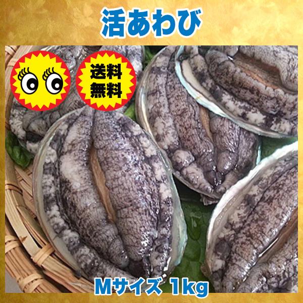 生きているから肝までお刺身品質 活あわび Mサイズ 1kg