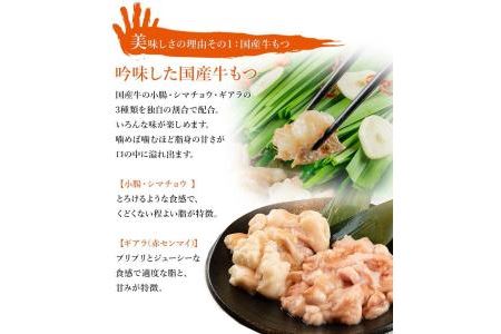 九州名物とめ手羽　博多もつ鍋セット　味噌味　２－３人前