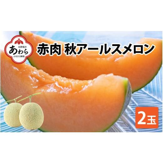 ふるさと納税 福井県 あわら市 秋 アールスメロン 2玉（計約3.2kg以上）青肉品種 高級メロン！ ／ マスクメロン 大玉 果物 フルーツ 夏 …