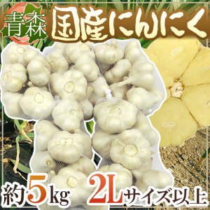 青森県 ”国産にんにく” 約5kg 等級A B 2Lサイズ以上 送料無料