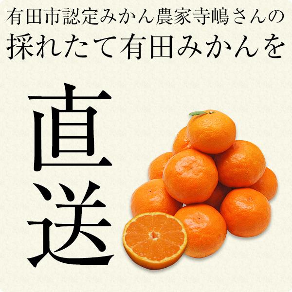 収穫次第順次発送 寺嶋さんの有田みかん 早生 わせ 3キロ 有田みかん 和歌山 ミカン お取り寄せグルメ