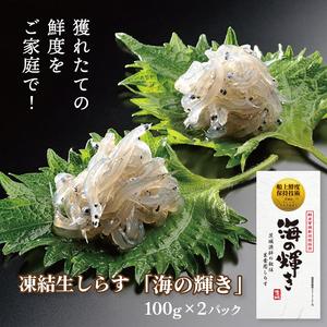 ふるさと納税 凍結生しらす「海の輝き」 100g 2パック 小分け シラス 冷凍 生しらす しらす_BQ004 茨城県大洗町