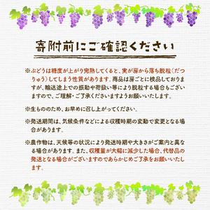 ふるさと納税 2024年産 ぶどう シャインマスカット＆ピオーネ 2房（600g×2）山形県 東根市産　hi027-102 山形県東根市