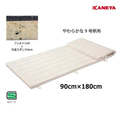 SANWA TAIKU 三和体育 指導ライン入マット 9号 すべり止無し 120×240×5