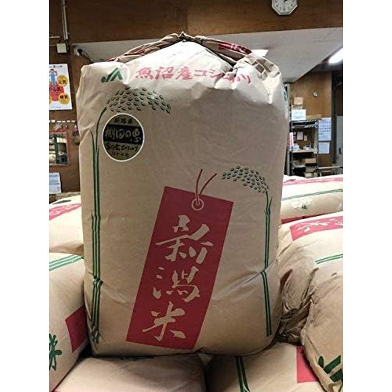 アウトレット通販売 新米・令和5年産玄米新潟新之助 30kg（10kg×3