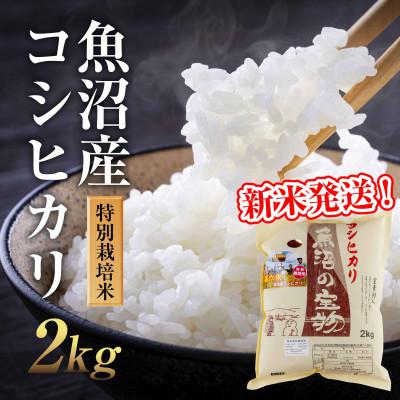 ふるさと納税 十日町市  魚沼産コシヒカリ 特別栽培米 魚沼の宝物 精米2kg(2kg×1袋)