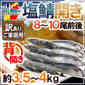 ノルウェー ”塩鯖開き” 訳あり 8～10尾前後 約3.5～4kg 背開き 塩サバ 送料無料