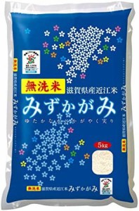  滋賀県産 無洗米 みずかがみ 5kg 令和4年産