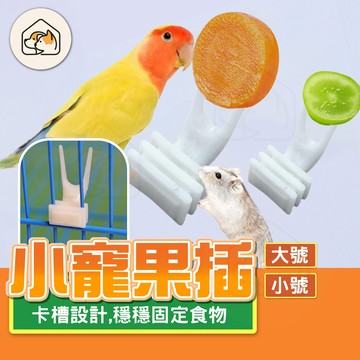 《家有毛孩🐾》鳥用水果插 鳥籠叉 小寵果插 鳥用水果餵食器 鳥食叉 水果插 果蔬叉 鳥類用品 塑料鳥用水果叉 鳥籠配件