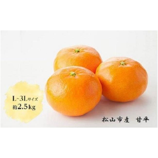 ふるさと納税 愛媛県 松山市 松山市産　甘平 秀品 L〜3Lサイズ （約2.5kg）