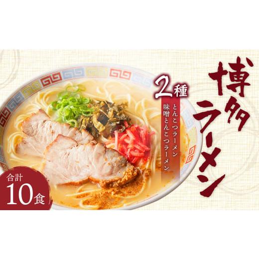 ふるさと納税 福岡県 遠賀町 博多ラーメン 10食入り 豚骨 ラーメン 半生極細ストレート麺