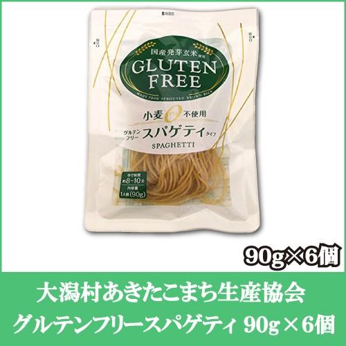 大潟村あきたこまち生産者協会 グルテンフリースパゲティ 90g ×6個