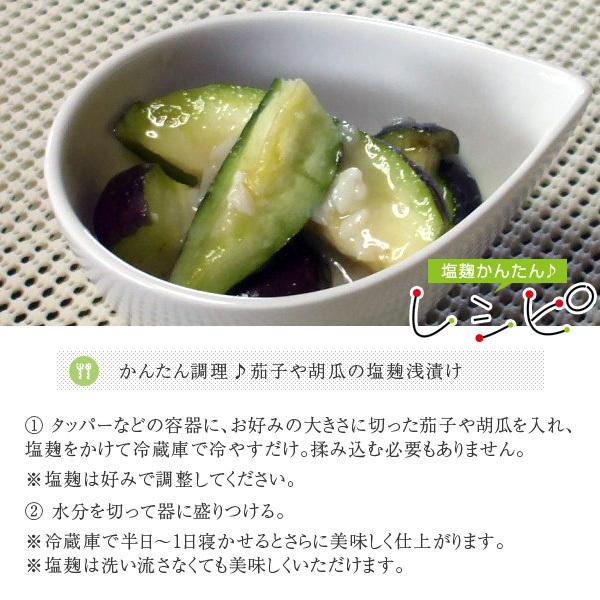 おまかせ 無農薬 旬野菜セット10種類以上と手づくり塩麹［送料無料］■期日指定不可・翌日受取限定 ※時間指定にご注意ください■