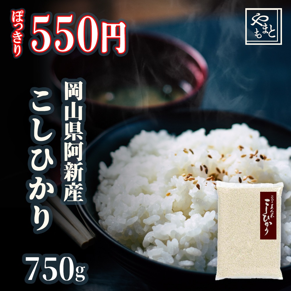 お米 新米 令和5年 岡山県阿新産こしひかり750g ぽっきり お試し 一等米 メール便