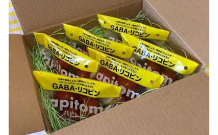 機能性表示食品 Hapitoma ハピトマ 3種盛り（1.2kg）