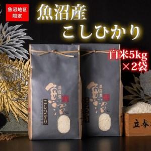 ふるさと納税 令和5年産 新米魚沼産コシヒカリ（白米5kg×2袋を全6回） 新潟県