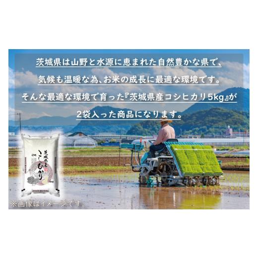 ふるさと納税 茨城県 大洗町  令和5年産 新米 茨城 コシヒカリ 10kg (5kg×2袋) ×6カ月 米 お米 おこめ 白米 ライス ご飯 精米 こしひかり 国…