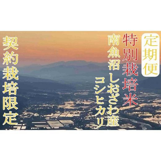 ふるさと納税 新潟県 南魚沼市 ※定期便：20Kg×3ヶ月※特別栽培 生産者限定  南魚沼しおざわ産コシヒカリ