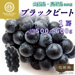 [最短順次発送]   ブラックビート ぶどう 1房 約500g 山梨県 長野県 化粧箱 葡萄  の味覚 大粒 ブドウ フルーツ 秋ギフト  果実ギフト