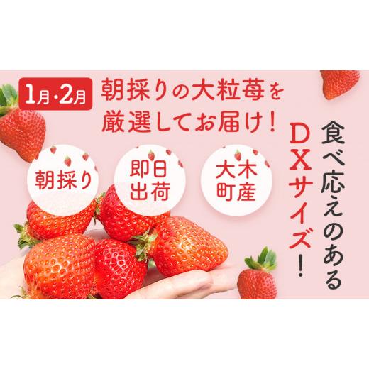 ふるさと納税 福岡県 大木町 ラフレーズセット 270g×４パック（2箱）×2回 冷凍いちご1.5kg BO005