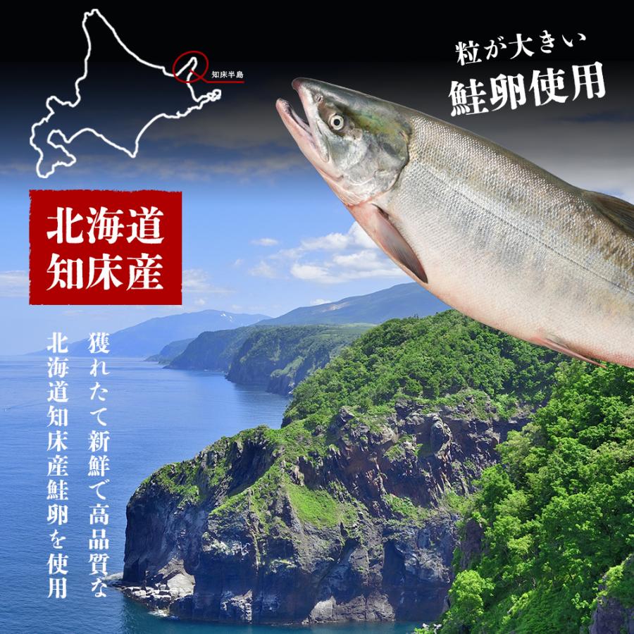 北海道産 鮭 いくら醤油漬け 500g (約6人前) 鮭卵 鮭 イクラ いくら 鮭いくら イクラ醤油漬け イクラの醤油漬け 酒の肴 酒のつまみ サーモン 魚卵 大粒