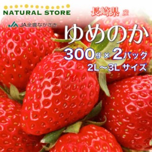 [予約 2024年1月5日-1月30日の納品] ゆめのか 2パック 2L 3L 約300g×2パック 長崎県産 いちご