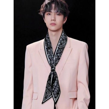 LISA長條絲巾男款2025新款冬季腰果花襯衫飄帶王一博同款西裝領巾