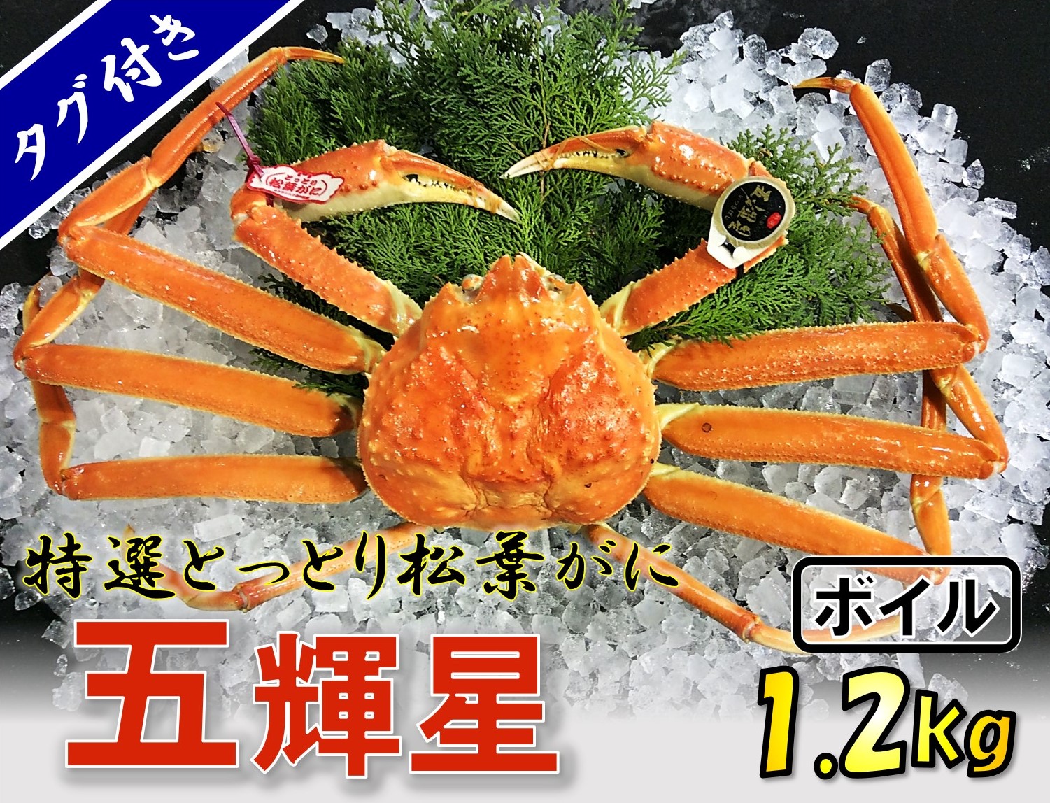 1140 五輝星ボイル松葉ガニ(特々大1.2kg)数量限定品