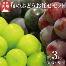 旬のぶどうお任せセット約3kg!(約3～8房) 信州グルメ市場厳選