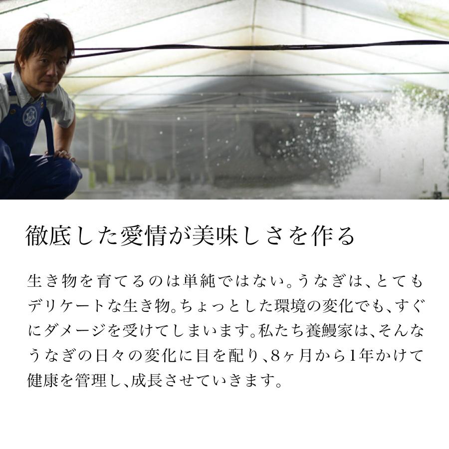 うなぎ お歳暮 プレゼント 鰻楽 国産 蒲焼 長焼5尾 セット 鰻 ウナギ 蒲焼き 冷凍 真空パック 宮崎 鹿児島 食品 お取り寄せ グルメ ギフト 60代 70代 80代