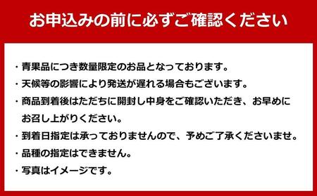 長崎県産　大将さんちの「甘熟せとか」2L～3L　8～12玉（約3Kg）