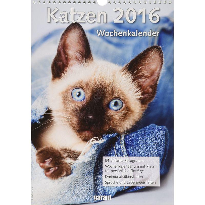 Wochenkalender Katzen