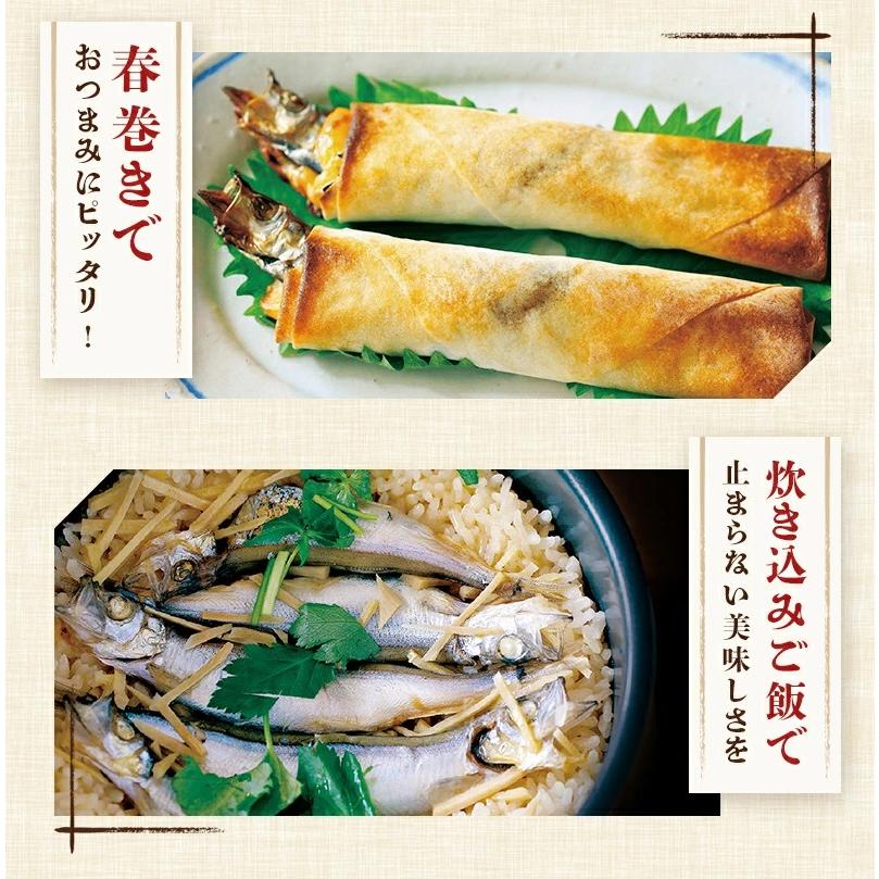 ししゃも 子持ち 干物 からふとししゃも 1kg(500g×2パック) 卵率15%以上 アイスランド産