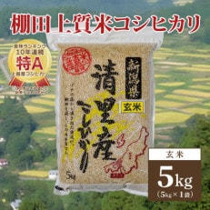 数量限定|令和5年産|新潟県上越市清里区北野産|棚田上質米コシヒカリ5kg(5kg×1)玄米