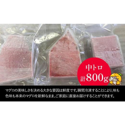 ふるさと納税 大分県 津久見市 本まぐろ お刺身用 中トロ5人前(800g) 鮪 海鮮丼 刺し身 刺身 盛り合わせ 冷凍 魚の刺身 大分県産 九州産 津久見市 熨斗対応