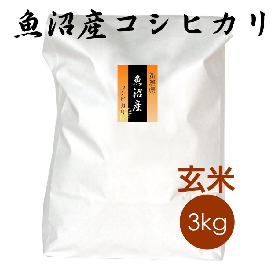 魚沼産コシヒカリ ECO・エコパック（エコ梱包・簡易梱包） 玄米 3kg