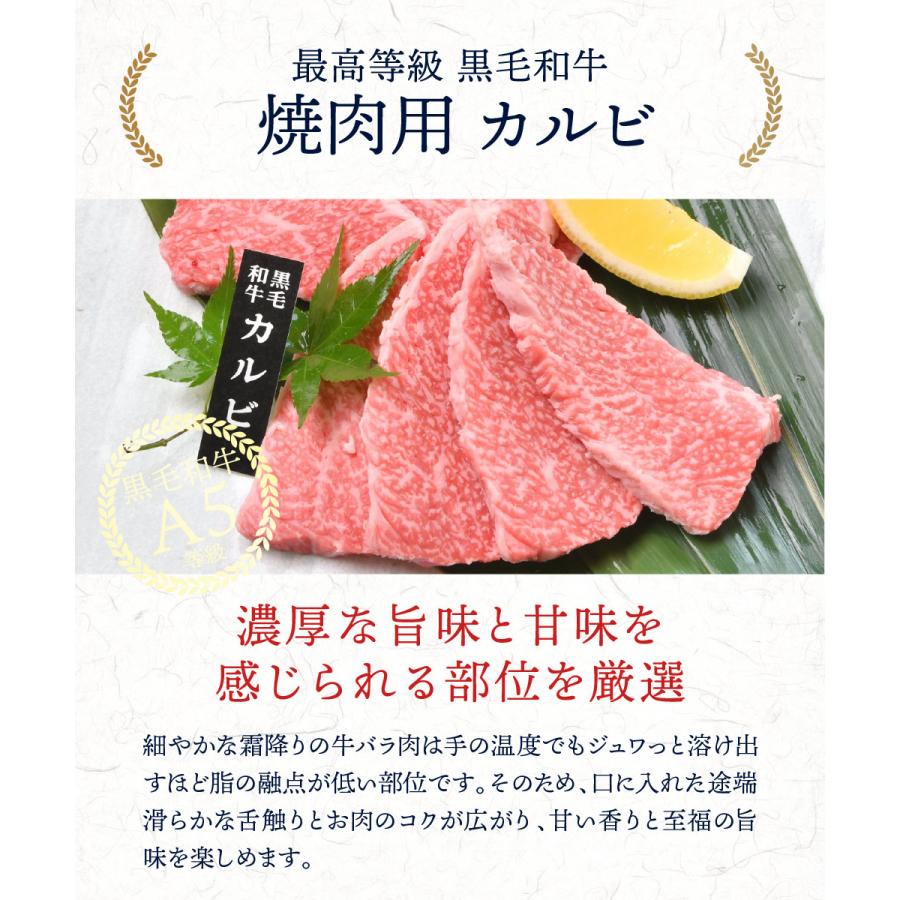 焼肉 セット 特製タレ付き お歳暮 御歳暮 2023 牛肉 A5等級黒毛和牛 ロース カルビ セット 500ｇ（各250ｇ）焼き肉 ＢＢＱ