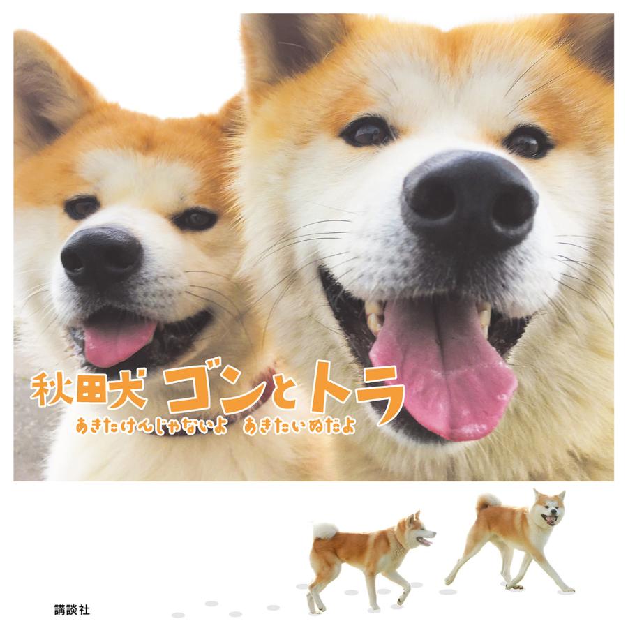 講談社 秋田犬ゴンとトラ あきたけんじゃないよあきたいぬだよ