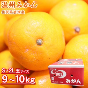 送料無料 佐賀県産 唐津 唐津みかん 温州みかん S M L 2L 2S～2L玉 9～10kg 箱入り みかん 国産 国産みかん ご家庭用 みかん 佐賀県 唐津