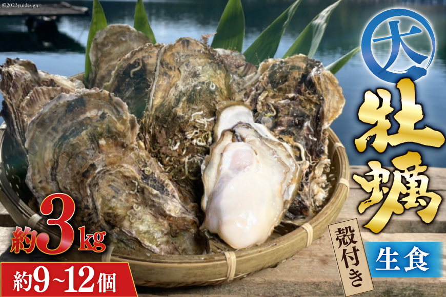  牡蠣 大粒 3～4年モノ 生食 殻付き牡蠣 約3kg(約9-12個入) [住喜水産 宮城県 気仙沼市 20562174] 期間限定 冷蔵 新鮮 濃厚 真牡蠣 カキ かき 生牡蠣 魚貝類 生牡蠣 貝 海鮮 魚介類 なべ カキフライ 牡蠣ご飯 魚介