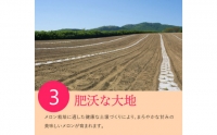 10-078 2023年7月中旬以降配送予定 期間限定 北海道産赤肉メロン（中玉）（2玉）