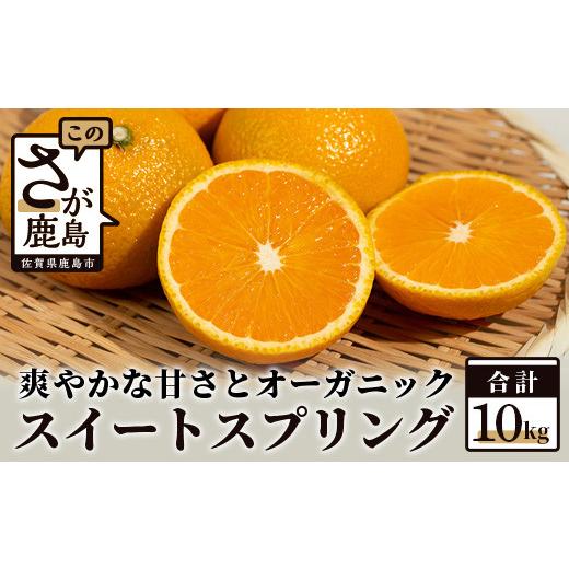 ふるさと納税 佐賀県 鹿島市  オーガニック スイートスプリング 約10kg 有機栽培 柑橘 B-112