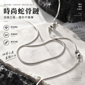 【隔日達！潮流蛇骨鏈】蛇骨鏈 鎖骨鏈 簡約氣質銀色項鏈 百搭素色 高級感 男女潮流配飾